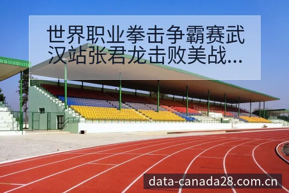 世界职业拳击争霸赛武汉站张君龙击败美战术变化与风险点深度 - 加拿大28玩法